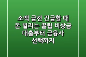 소액 급전 긴급할 때 돈 빌리는 꿀팁 비상금 대출부터 금융사 선택까지