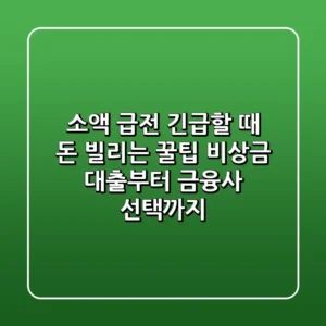 소액 급전 긴급할 때 돈 빌리는 꿀팁 비상금 대출부터 금융사 선택까지