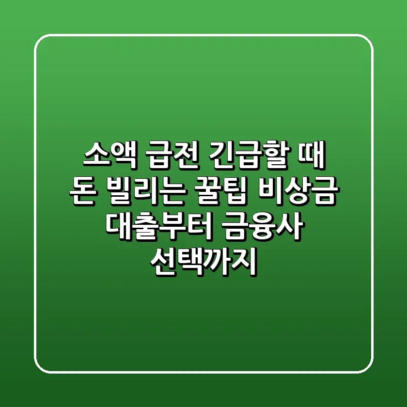 소액 급전 긴급할 때 돈 빌리는 꿀팁 비상금 대출부터 금융사 선택까지