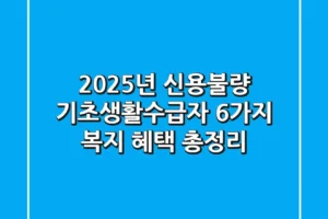 2025년 신용불량 기초생활수급자 6가지 복지 혜택 총정리