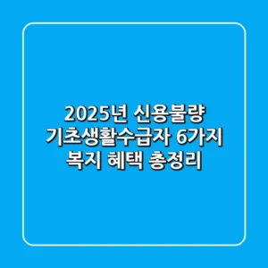 2025년 신용불량 기초생활수급자 6가지 복지 혜택 총정리