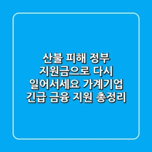 산불 피해, 정부 지원금으로 다시 일어서세요! 가계&기업 긴급 금융 지원 총정리
