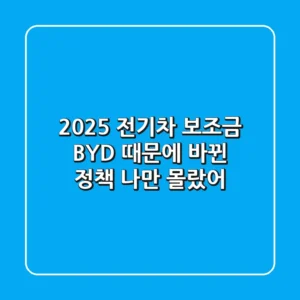 2025 전기차 보조금: BYD 때문에 바뀐 정책, 나만 몰랐어?!