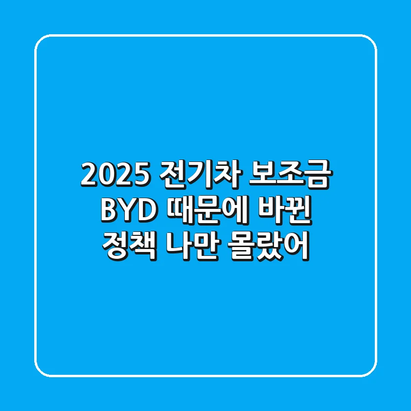 2025 전기차 보조금: BYD 때문에 바뀐 정책, 나만 몰랐어?!