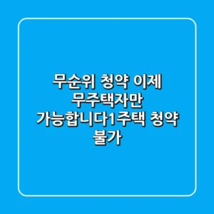 무순위 청약, 이제 무주택자만 가능합니다!(1주택 청약 불가)