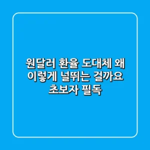 원-달러 환율, 도대체 왜 이렇게 널뛰는 걸까요? (초보자 필독!)