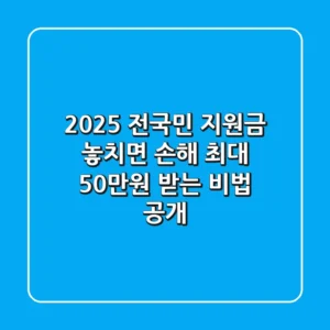 2025 전국민 지원금: 놓치면 손해! 최대 50만원 받는 비법 공개