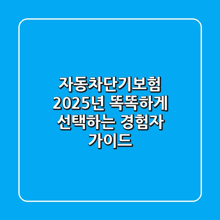 자동차단기보험, 2025년 똑똑하게 선택하는 경험자 가이드