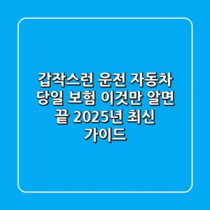 갑작스런 운전? 자동차 당일 보험, 이것만 알면 끝! (2025년 최신 가이드)