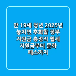만 19세 청년, 2025년 놓치면 후회할 정부 지원금 총정리 (월세 지원금부터 문화 패스까지)