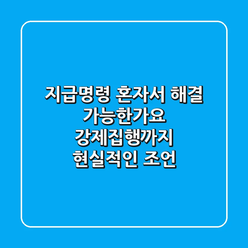 지급명령: 혼자서 해결 가능한가요? 강제집행까지 현실적인 조언