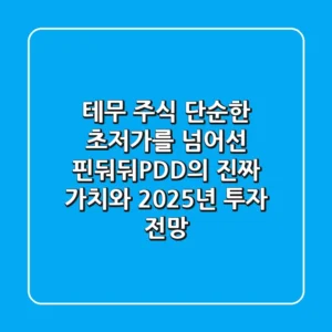 테무 주식, 단순한 초저가를 넘어선 핀둬둬(PDD)의 진짜 가치와 2025년 투자 전망