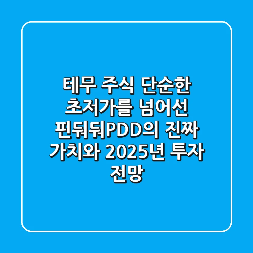 테무 주식, 단순한 초저가를 넘어선 핀둬둬(PDD)의 진짜 가치와 2025년 투자 전망