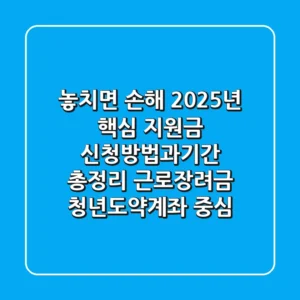 놓치면 손해! 2025년 핵심 지원금 '신청방법과기간' 총정리 (근로장려금, 청년도약계좌 중심)