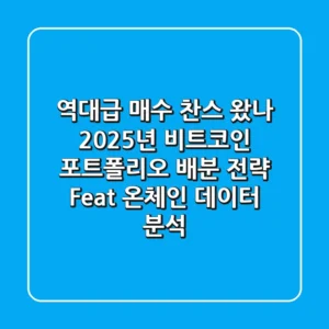 "역대급 매수 찬스 왔나?", 2025년 비트코인 포트폴리오 배분 전략 (Feat. 온체인 데이터 분석)