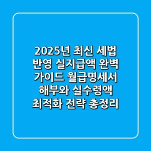 "2025년 최신 세법 반영", 실지급액 완벽 가이드: 월급명세서 해부와 실수령액 최적화 전략 총정리