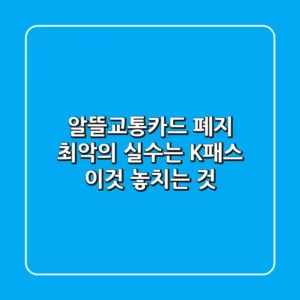 "알뜰교통카드 폐지, 최악의 실수는 K패스 '이것' 놓치는 것"