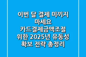 “이번 달 결제 미끼지 마세요”, 카드결제금액조절 위한 2025년 유동성 확보 전략 총정리