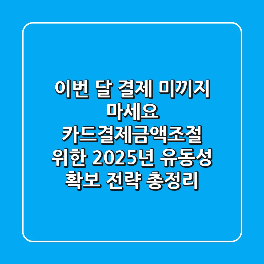 "이번 달 결제 미끼지 마세요", 카드결제금액조절 위한 2025년 유동성 확보 전략 총정리