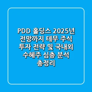 "PDD 홀딩스 2025년 전망까지", 테무 주식 투자 전략 및 국내외 수혜주 심층 분석 총정리