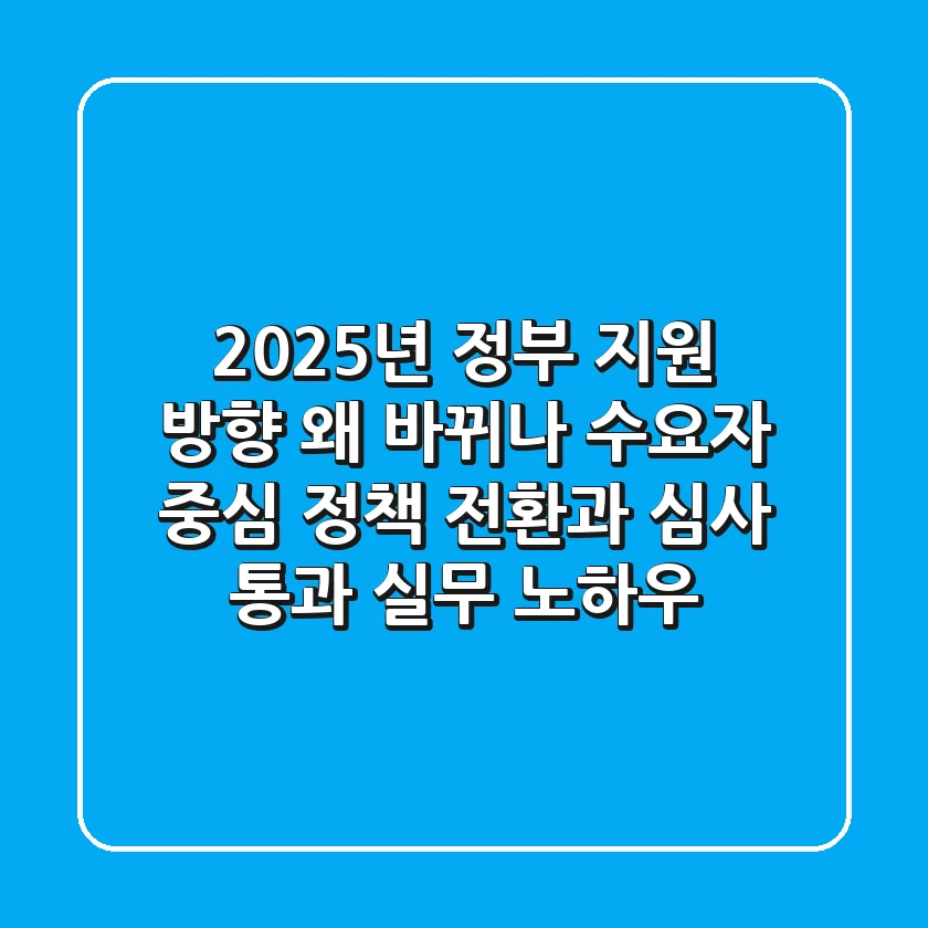 "2025년 정부 지원 방향, 왜 바뀌나?", 수요자 중심 정책 전환과 심사 통과 실무 노하우