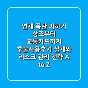 "연체 폭탄 피하기!", 상조부터 교통카드까지 후불사용후기 실체와 리스크 관리 전략 A to Z